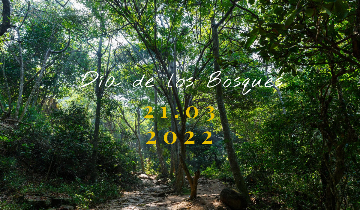 Día de los Bosques 2022