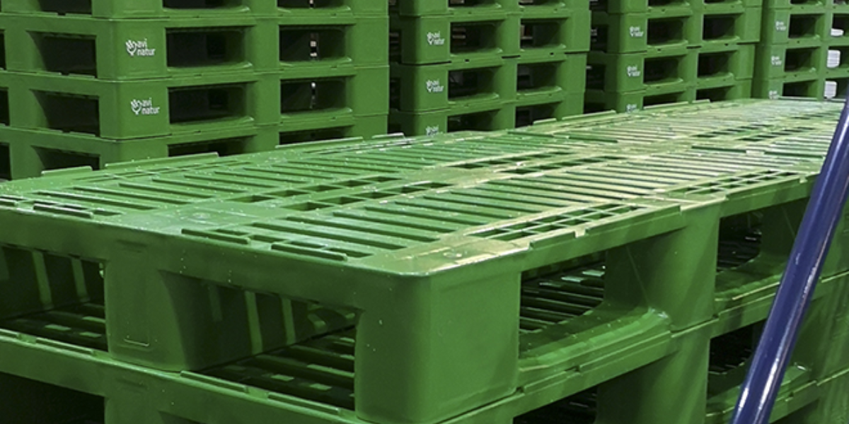 POST BLOG PALETSJINAVA 1