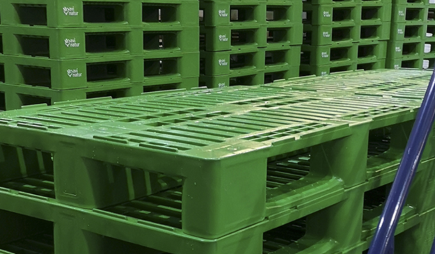 POST BLOG PALETSJINAVA 1